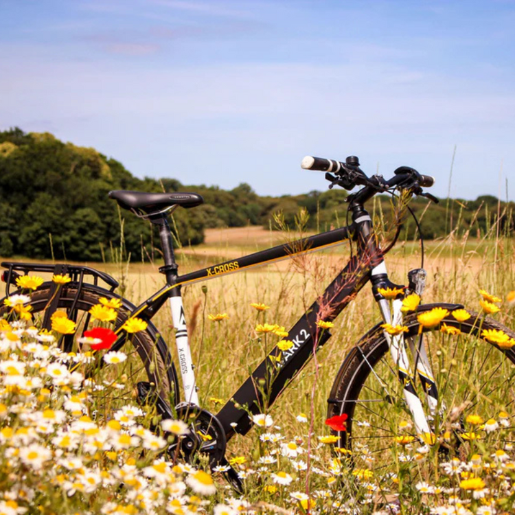 Our Complete collection of E-Bikes