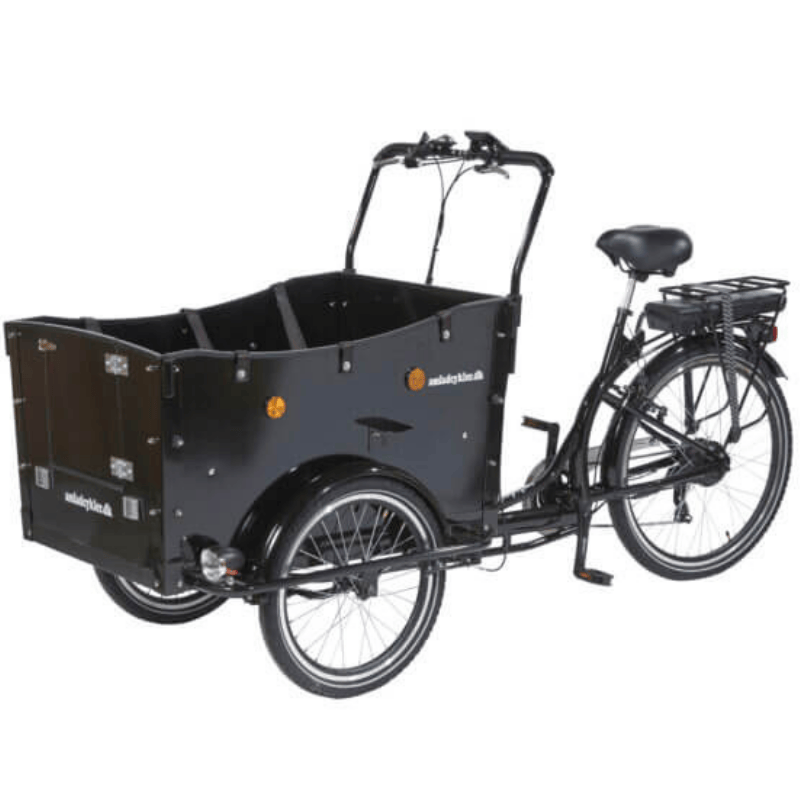 AMCargo Bikes Curve Kindergarten Tadpole Cargo E-Tricycle 15.5mph 250W 40mile