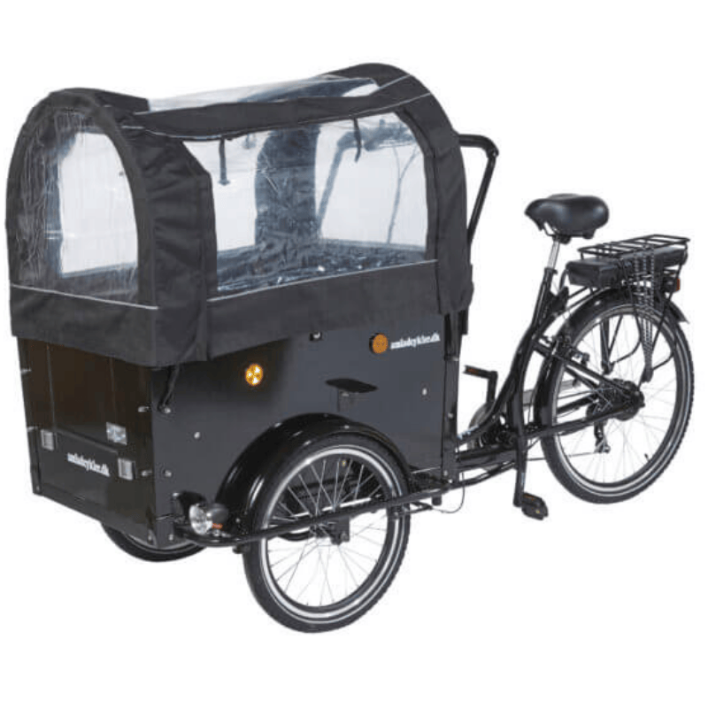 AMCargo Bikes Curve Kindergarten Tadpole Cargo E-Tricycle 15.5mph 250W 40mile