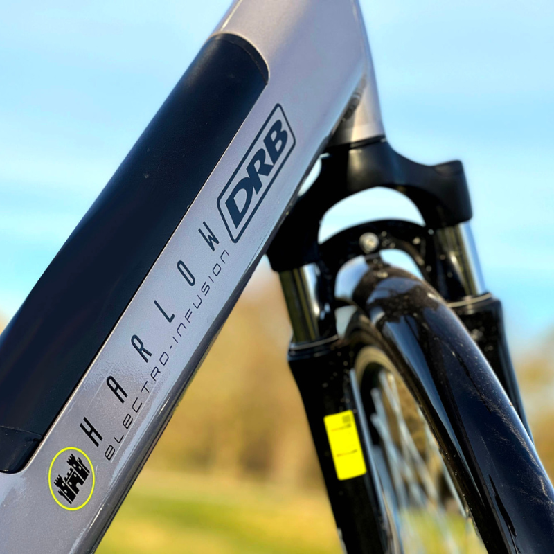 DALLINGRIDGE Harlow Hybrid Step Through Electric Bike - Top Speed 15.5mph | 50mi Range | 250W Power
