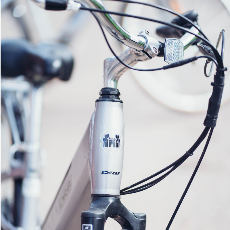 DALLINGRIDGE Harlow Hybrid Step Through Electric Bike - Top Speed 15.5mph | 50mi Range | 250W Power