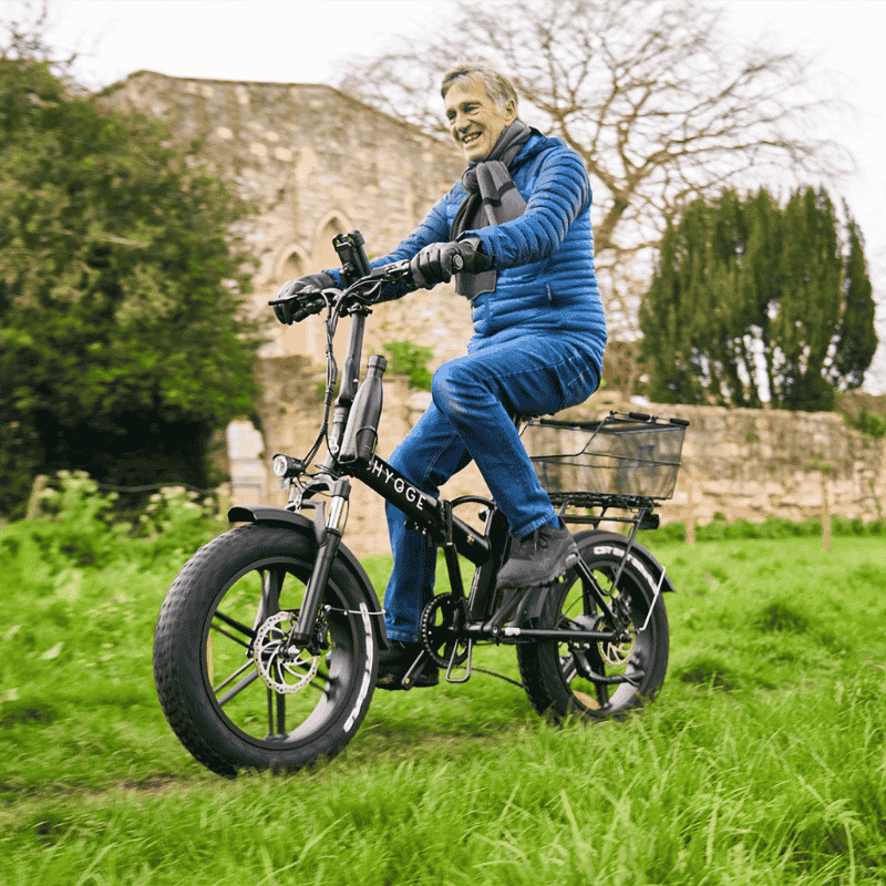 HYGGE Vester Foldable Fat Tyre All Terrain Electric Bike - Top Speed 15.5mph | 46mi Range | 48V Battery | Hub Motor | 250W Power - Onyx Black
