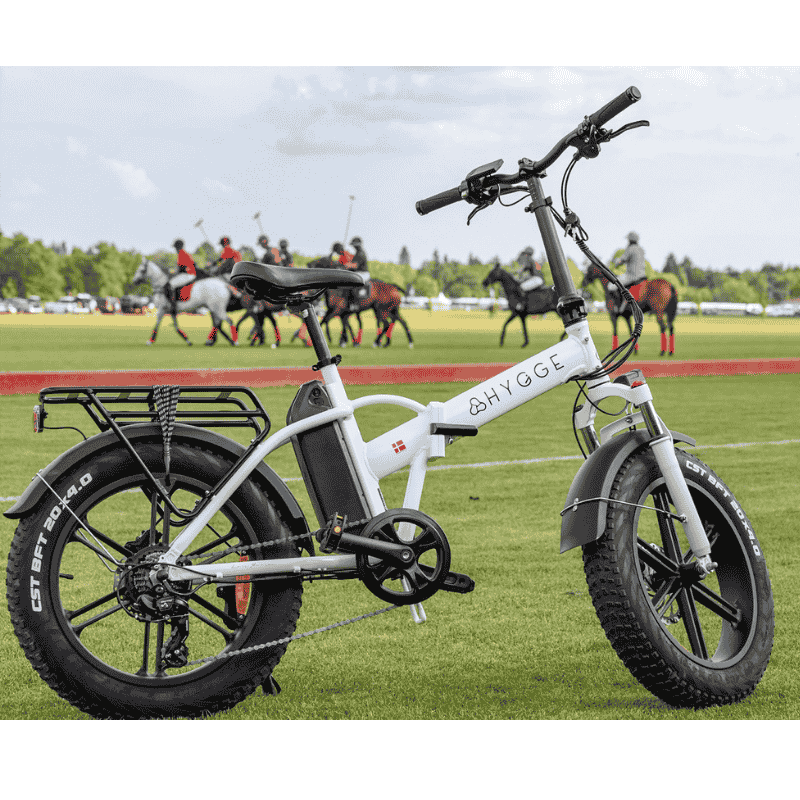 HYGGE Vester Foldable All Terrain Fat Tyre Electric Bike - Top Speed 15.5mph | 50mi Range | 48V Battery | 250W Hub Motor - Heron White