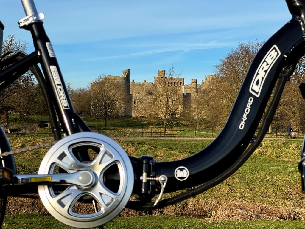 DALLINGRIDGE Oxford Low Step Folding City Electric Bike - Top Speed 15.5mph | 30-50mi Range | 250W Power