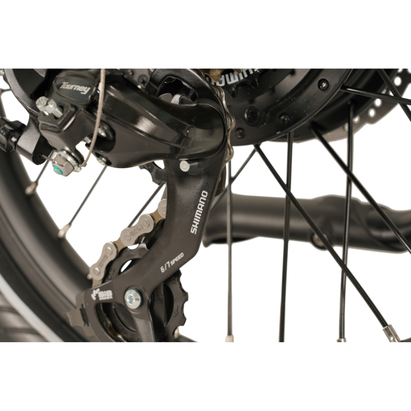 E-Go Step Folding E-Bike 250W 15.5Mph
