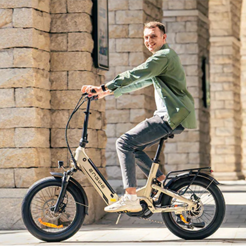 ENGWE L20 3.0 Pro Folding E-Bike, 250W, 100Nm, 160km Range, 15.5mph