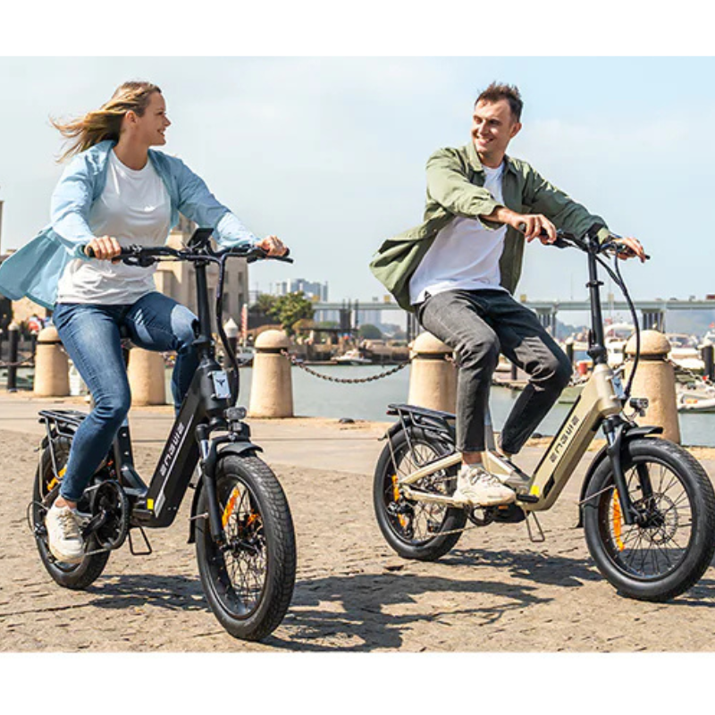 ENGWE L20 3.0 Pro Folding E-Bike, 250W, 100Nm, 160km Range, 15.5mph