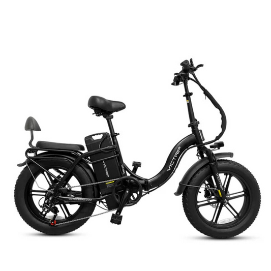 VICTRIP TITAN S Foldable E-bike 250w 15.5mph 298km