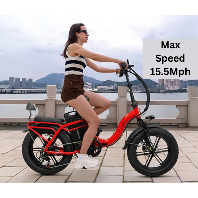 VICTRIP TITAN S Foldable E-bike 250w 15.5mph 298km