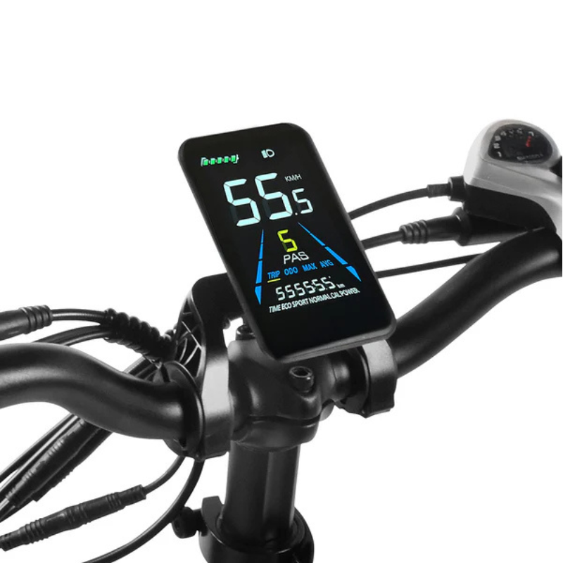 VICTRIP TITAN S Foldable E-bike 250w 15.5mph 298km