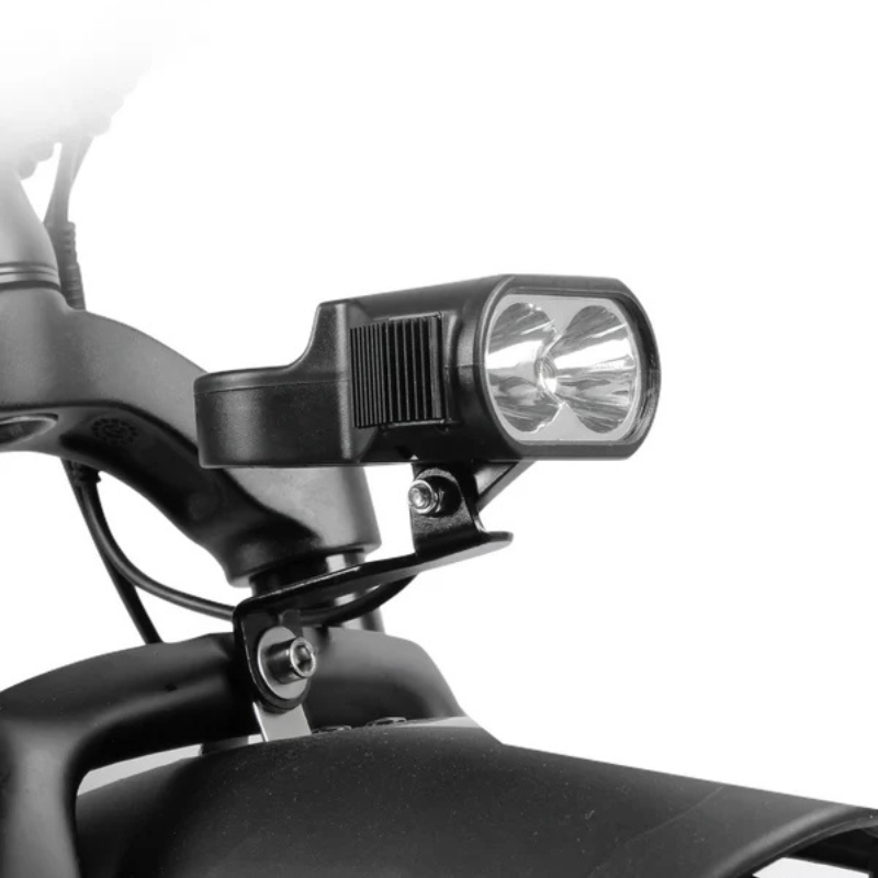 VICTRIP TITAN S Foldable E-bike 250w 15.5mph 298km