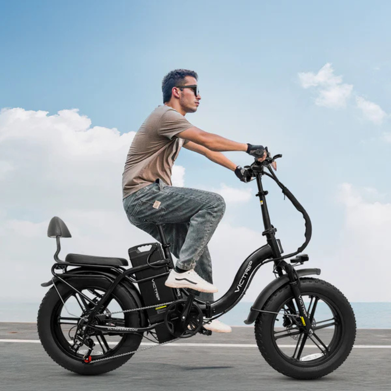 VICTRIP TITAN S Foldable E-bike 250w 15.5mph 298km