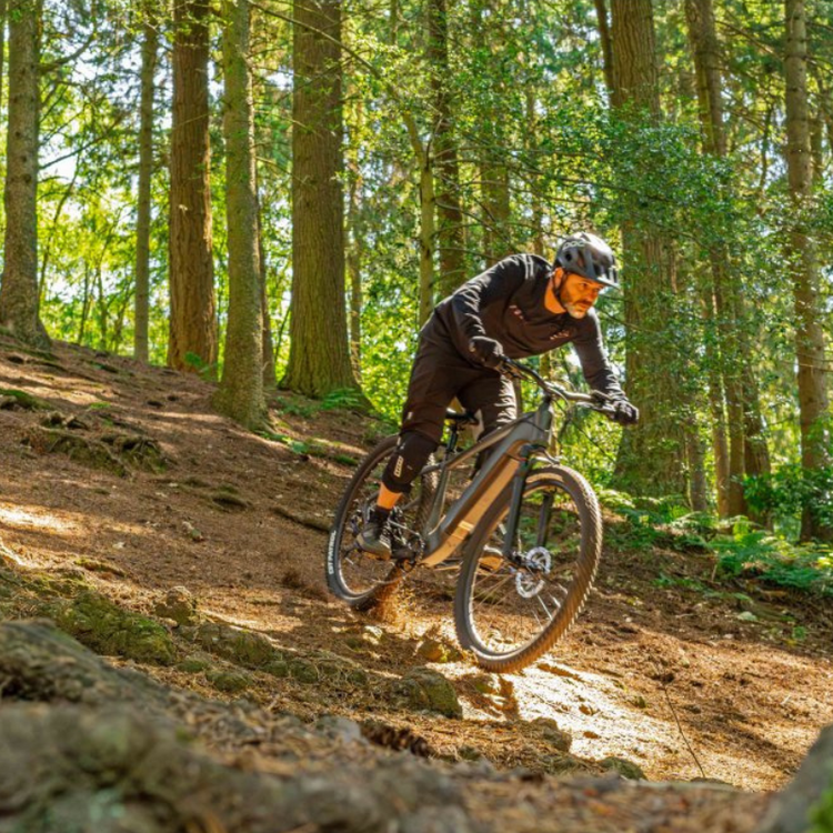 Man in black riding Claud Butler Wrath down hill through forest with sunlight coming through trees