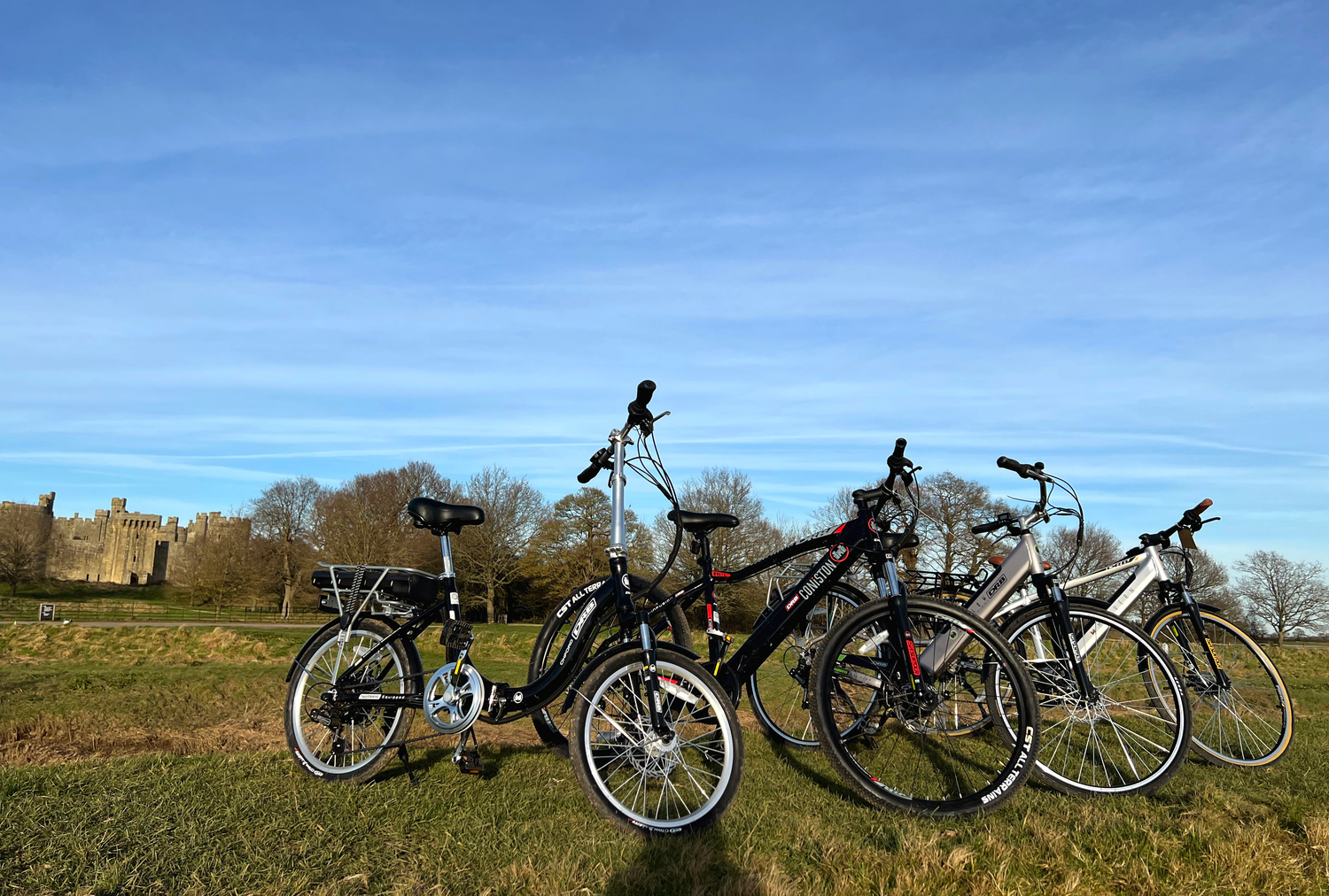 Dallingridge ebike collection next to each other with blue sky, castle and trees behind