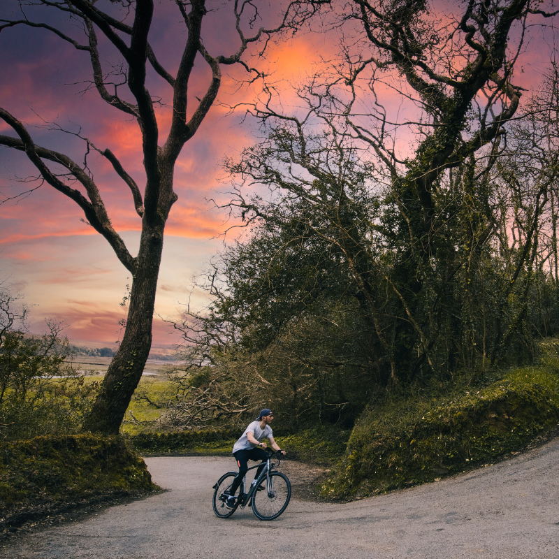 man in grey t-shirt and black trousers riding an Emu e-bike up a windy hill with trees surrounding road. sky is red and blue a dusk