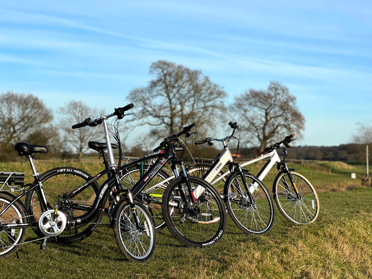 Dalligridge e-bike collection in field trees in background with blue sky