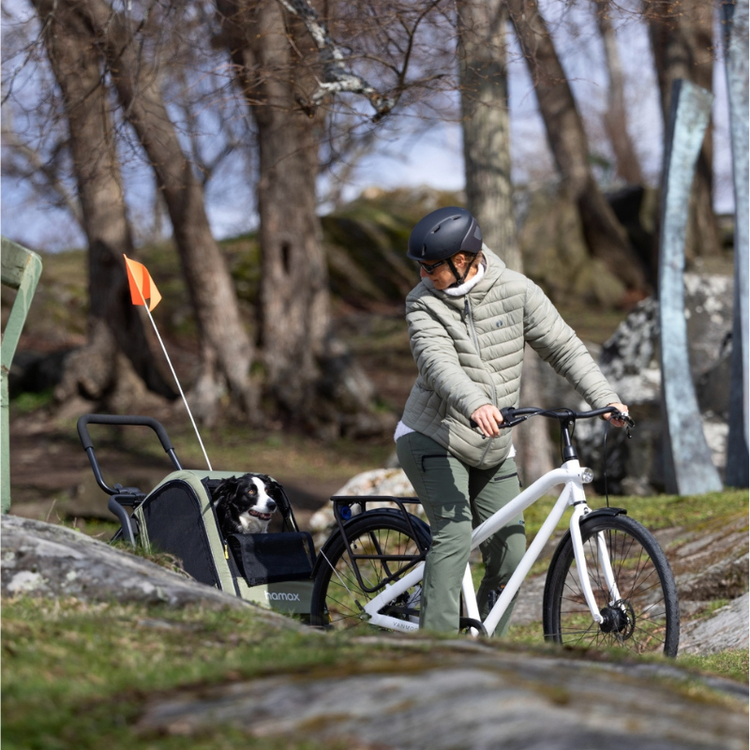 lady on bike with trailer looking at her dog in it whilst cycling through the forest