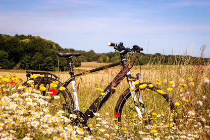 MARK2 X-Cross 520 Sports, Lightweight, Commuter Electric Bike - Top Speed 15.5mph | 22-50mi Range | 250W Power