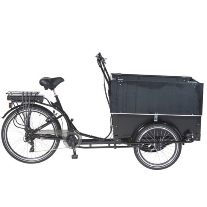 AMCargoBikes Curve Workman 2 Tadpole Cargo E-Trike 15.5mph 250W 40mi Range