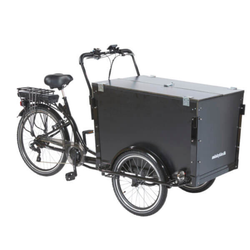 AMCargoBikes Curve Workman 2 Tadpole Cargo E-Trike 15.5mph 250W 40mi Range