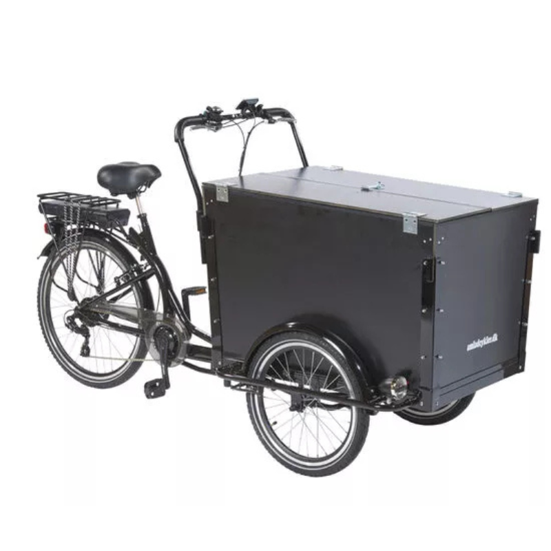 AMCargoBikes Curve Workman 2 Tadpole Cargo E-Trike 15.5mph 250W 40mi Range
