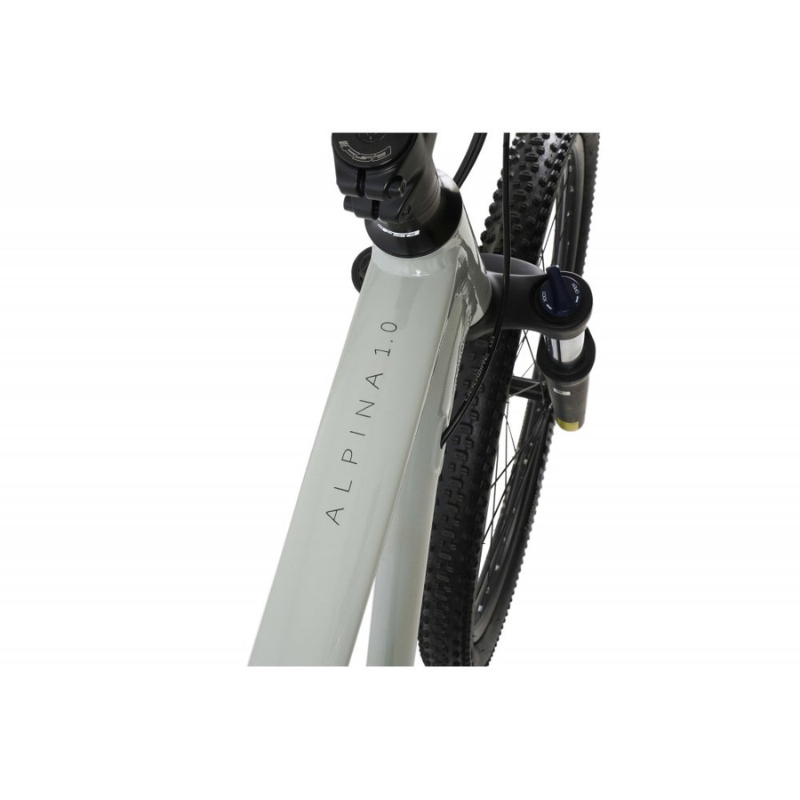 Claud Butler Alpina 1.0 Mountain Bike 29er – Shimano CUES 2x9, Hydraulic Disc Brakes