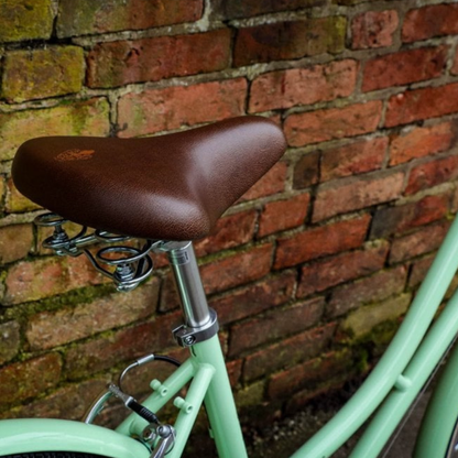 Dawes Cambridge Heritage Bike