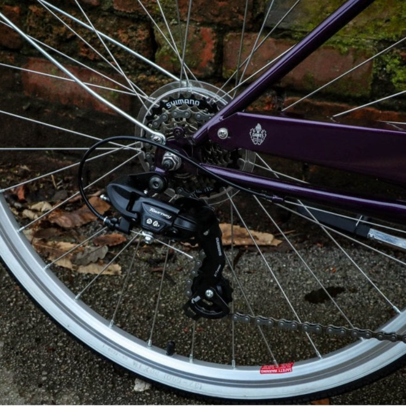 Dawes Cambridge Heritage Bike