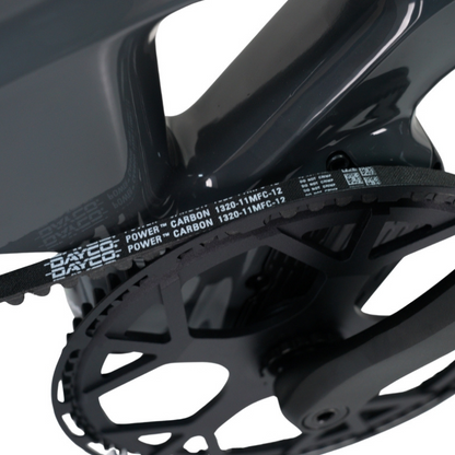 E_GO CARBON LITE 3S Carbon Fiber Folding E-Bike 75Nm 15.3KG 15.5MPH 250w