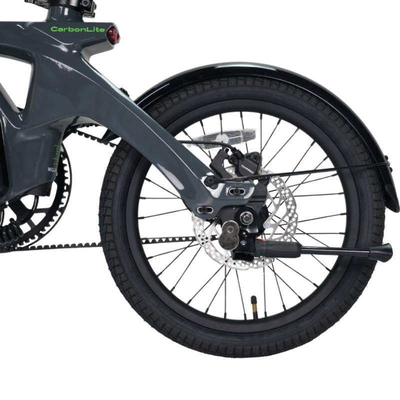 E_GO CARBON LITE 3S Carbon Fiber Folding E-Bike 75Nm 15.3KG 15.5MPH 250w