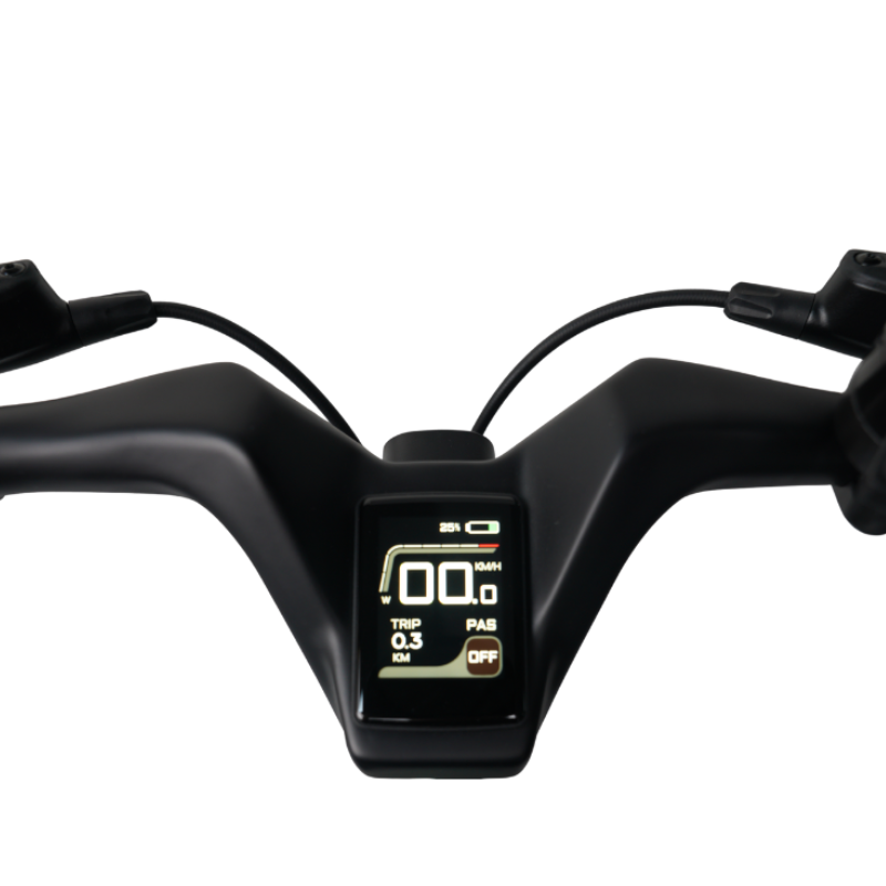 E_GO CARBON LITE 3S Carbon Fiber Folding E-Bike 75Nm 15.3KG 15.5MPH 250w