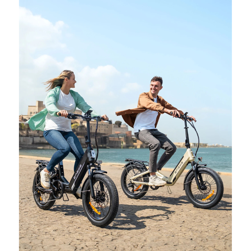 ENGWE L20 3.0 BOOST Folding City E-Bike 250W 15.5Mph 135Km Full Suspension