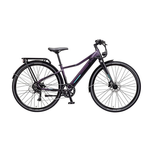 EZEGO COMMUTE INT Unisex 17" E-Bike 250W 15.5Mph 45Nm