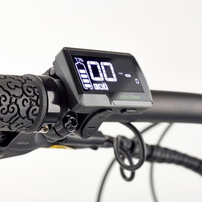 EZEGO TRAIL DESTROYER II E-MTB ARMY GREEN 250W 15.5MPH