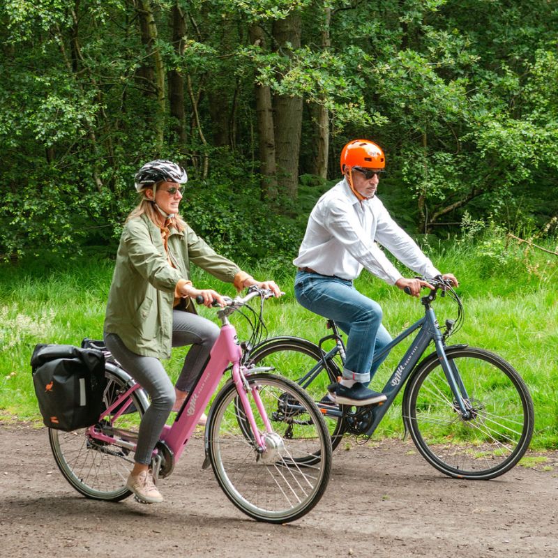 EMU Roam Mk2 Step Through Hybrid Electric Bike - Top Speed 15.5mph | 55mi Range | 250W Power