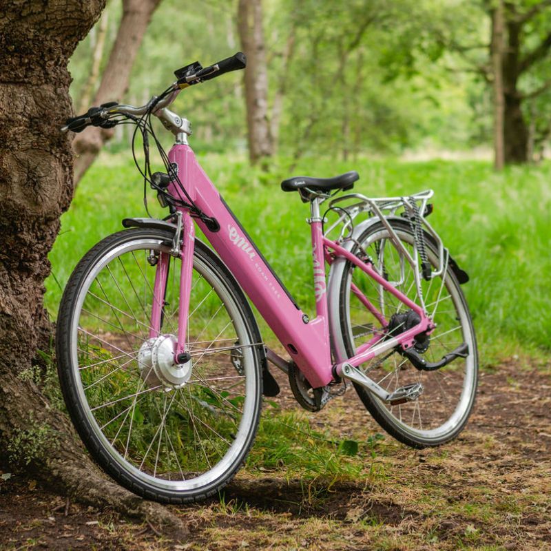 EMU Roam Mk2 Step Through Hybrid Electric Bike - Top Speed 15.5mph | 55mi Range | 250W Power