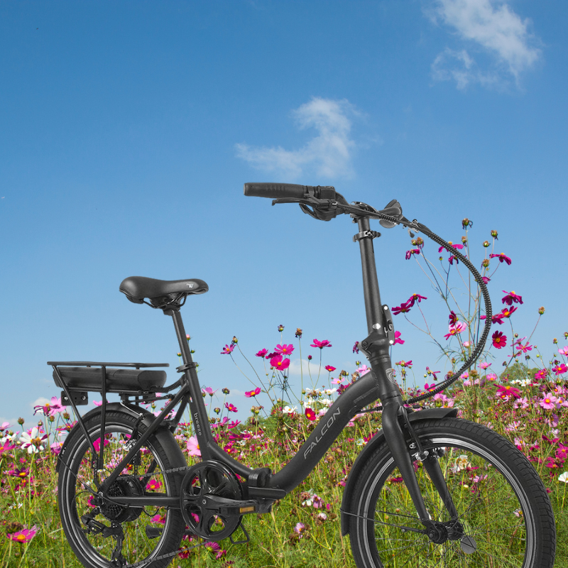 Black bicycle in a field of flowers with a blue sky