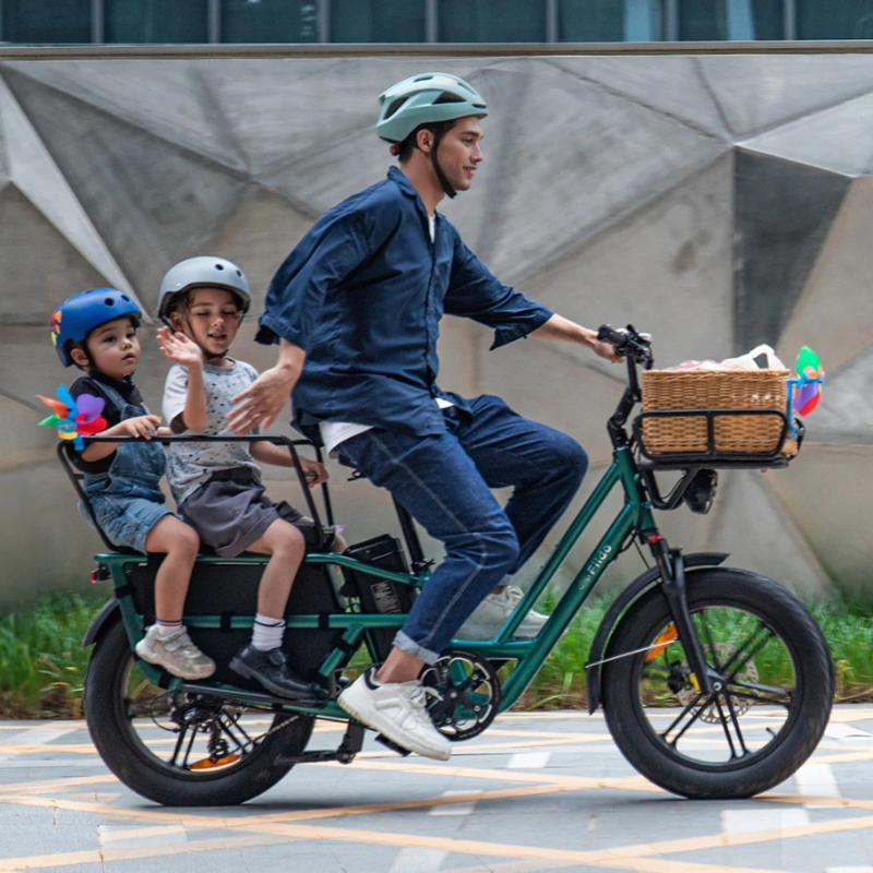 FIIDO T2 LONGTAIL Cargo E-Bike 250W 15.5mph