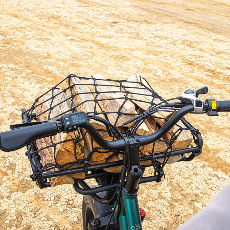 FIIDO T2 LONGTAIL Cargo E-Bike 250W 15.5mph