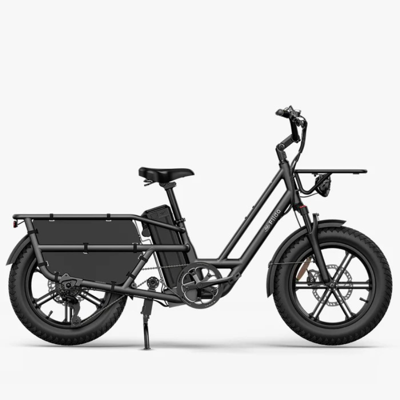 FIIDO T2 LONGTAIL Cargo E-Bike 250W 15.5mph
