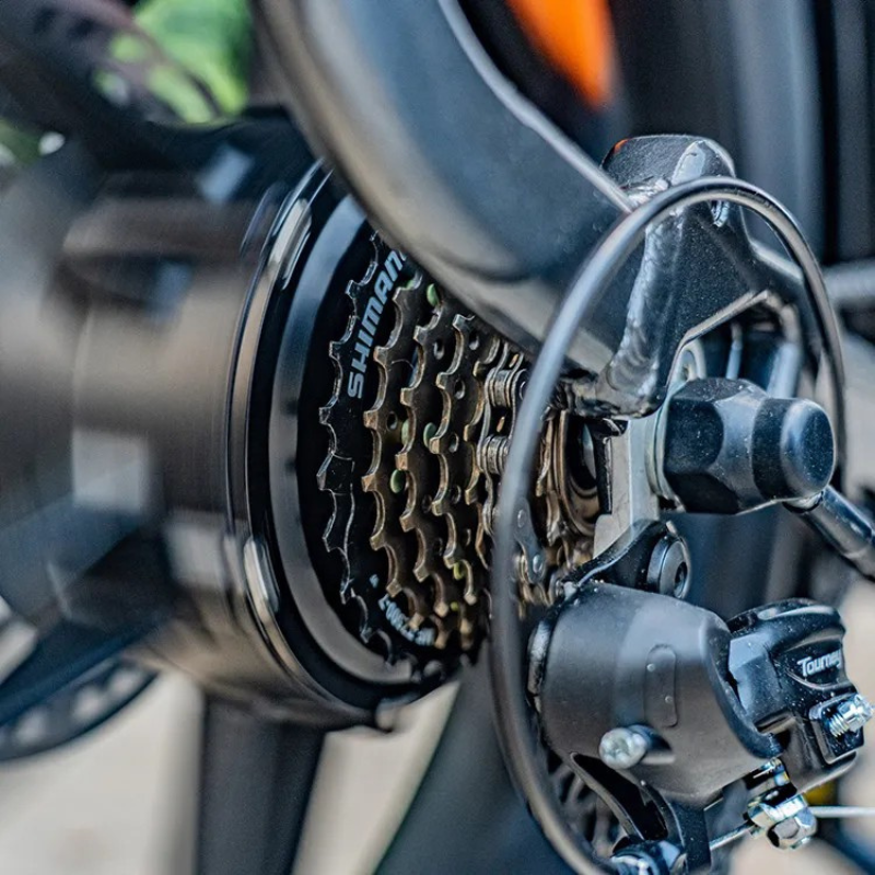 FIIDO T2 LONGTAIL Cargo E-Bike 250W 15.5mph