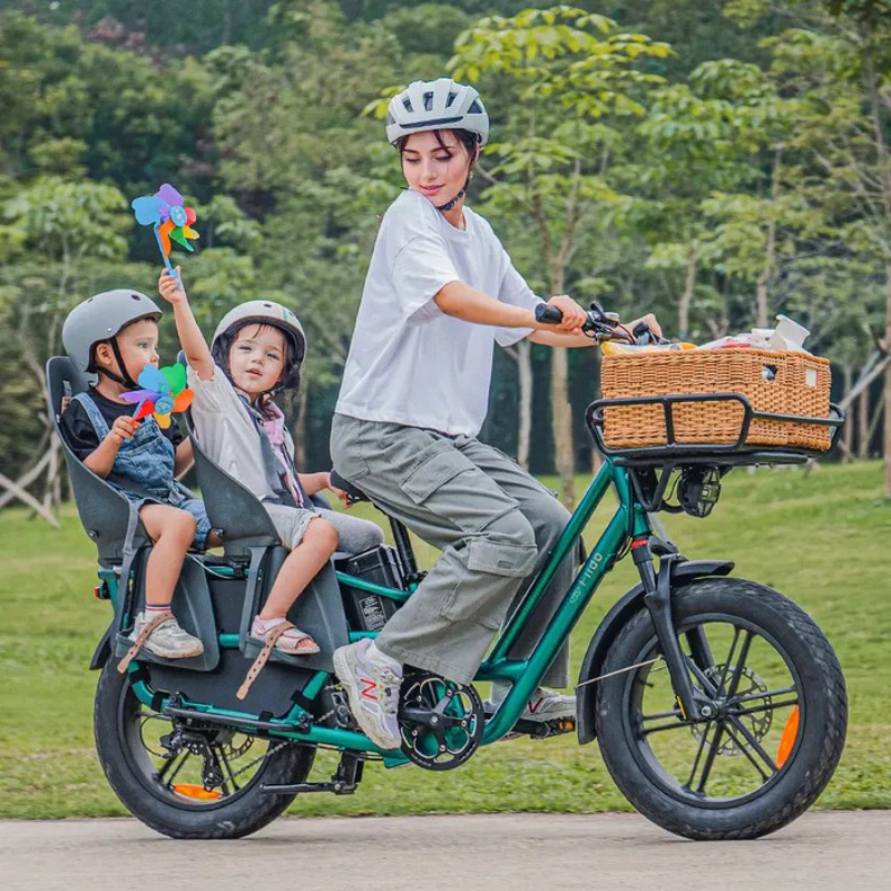 FIIDO T2 LONGTAIL Cargo E-Bike 250W 15.5mph
