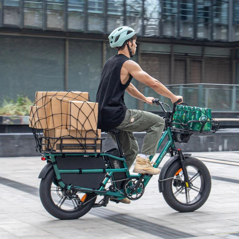 FIIDO T2 LONGTAIL Cargo E-Bike 250W 15.5mph