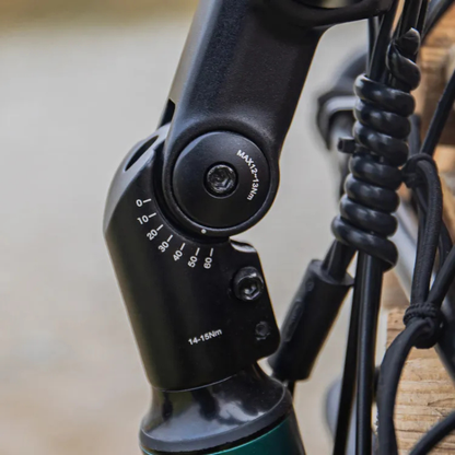 FIIDO T2 LONGTAIL Cargo E-Bike 250W 15.5mph