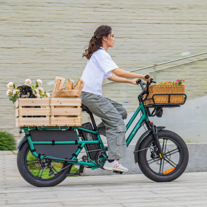 FIIDO T2 LONGTAIL Cargo E-Bike 250W 15.5mph