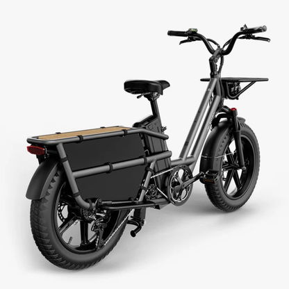 FIIDO T2 LONGTAIL Cargo E-Bike 250W 15.5mph