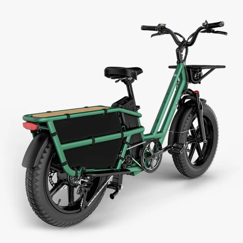 FIIDO T2 LONGTAIL Cargo E-Bike 250W 15.5mph