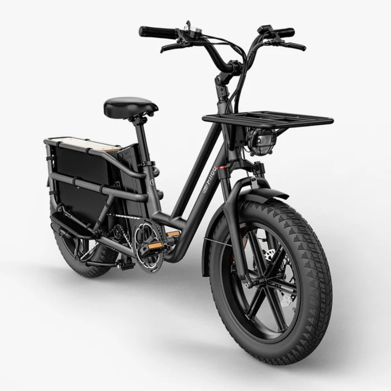 FIIDO T2 LONGTAIL Cargo E-Bike 250W 15.5mph