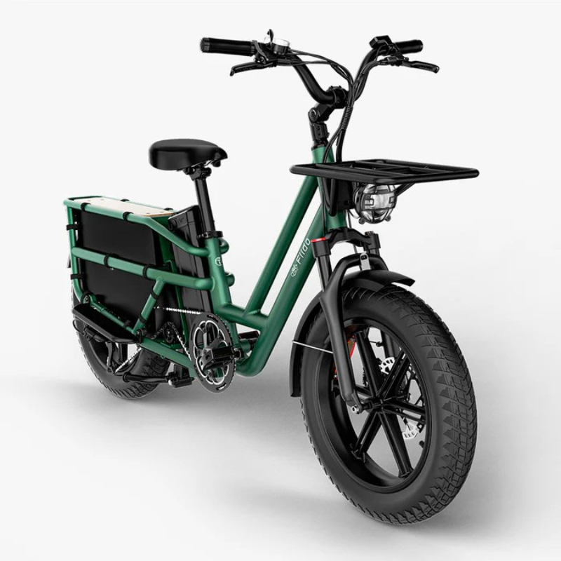 FIIDO T2 LONGTAIL Cargo E-Bike 250W 15.5mph