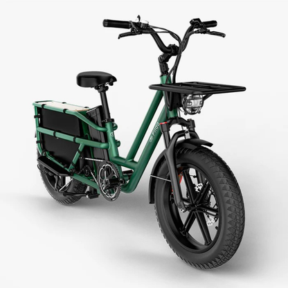 FIIDO T2 LONGTAIL Cargo E-Bike 250W 15.5mph